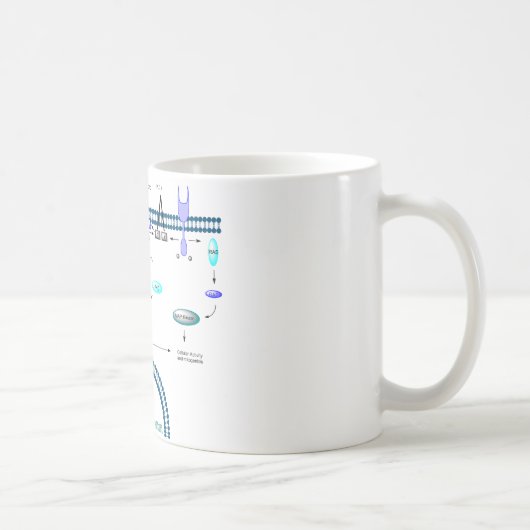 GPCR Bahn Kaffeetasse (Rechts)