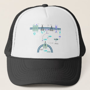 GPCR Bahn Truckerkappe