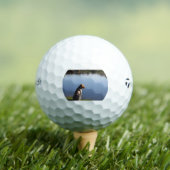 gr at lake golfball (Insitu T-Shirt)