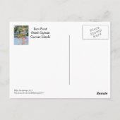 GR. CAYMAN, FARBLICHES SIGNAGE (LÄNDER) RUM POINT POSTKARTE (Rückseite)