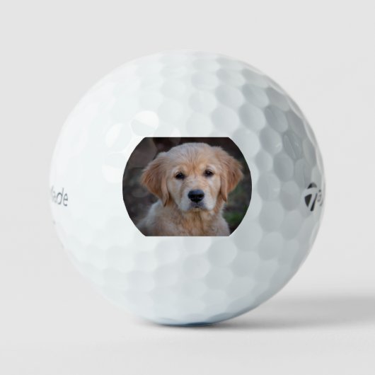 gr pup 2 golfball (Vorderseite)