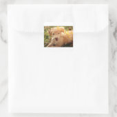 gr pup mit Zweig Quadratischer Aufkleber (Tasche)