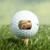 gr Welpe mit Ast Golfball (Insitu T-Shirt)