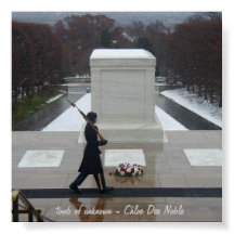 Grab des Unbekannten - Arlington