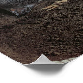 Grab eines gaulischen Chefs Poster (Ecke)