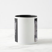 Grab von Pepin "das kurze", König der Fränke Tasse (Zentrum)