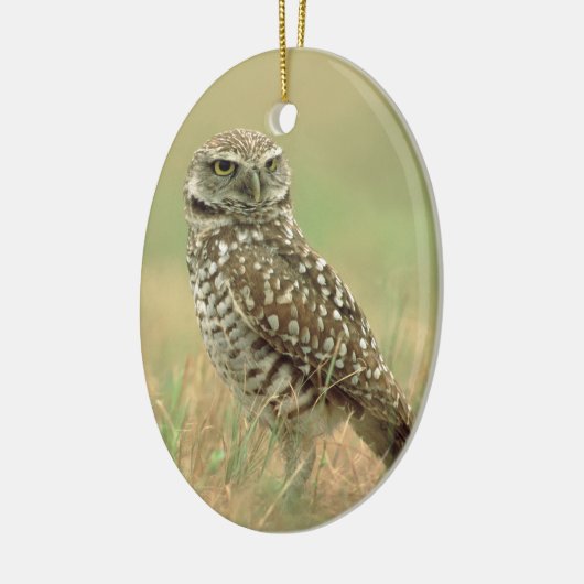 Graben der Eule Keramik Ornament (Links)