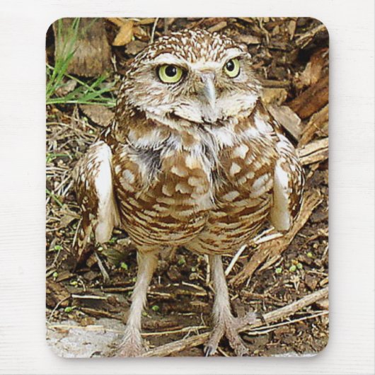 Graben der Eule Mousepad (Vorne)