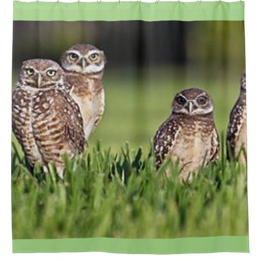 Graben der Eulen Duschvorhang (Vorderseite)