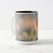 Graben der Eulen-großen Tasse (Vorderseite Links)