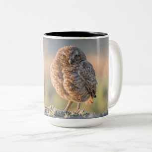 Graben der Eulen-großen Tasse