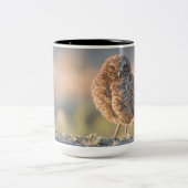 Graben der Eulen-großen Tasse (Mittel)