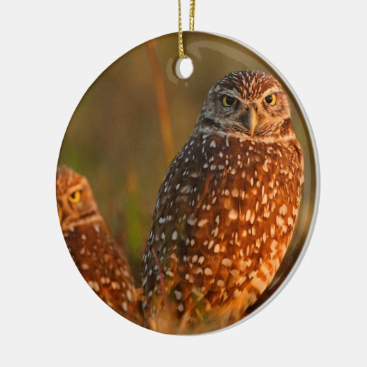 Graben der Eulen Keramikornament (Links)