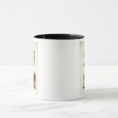 Gräber an Castel d'Asso Tasse (Zentrum)