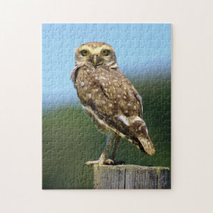 Grabkauz Raubvogel Puzzle