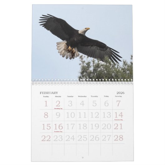 Grabstein Eagles Kalender (Feb 2026)