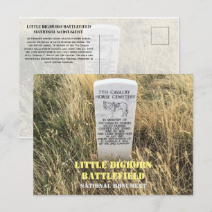 Grabstein für Kavalleriepferde, Little Bighorn, MT Postkarte