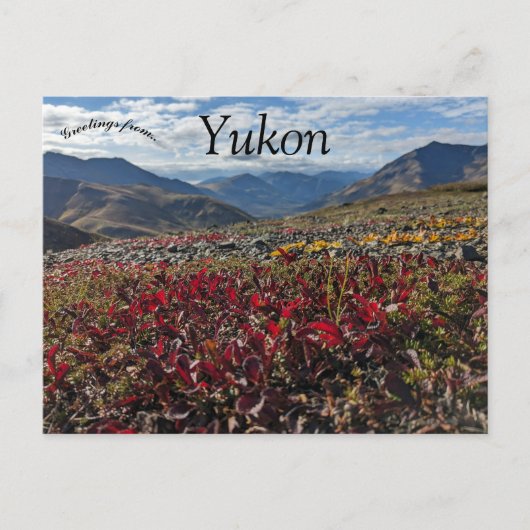 Grabstein Territorial Park Dawson Yukon Kanada Postkarte (Vorderseite)