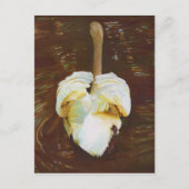 Grace 2014 postkarte (Vorderseite)