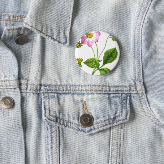 Grace Button (Beispiel)