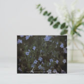 Grace für Bienen Postkarte (Stehend Vorderseite)