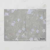 Grace für Bienen Postkarte (Rückseite)