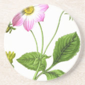 Grace Getränkeuntersetzer (Vorne)