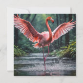 Grace in Flight: Der rosa Flamingos Riverdance (Rückseite)