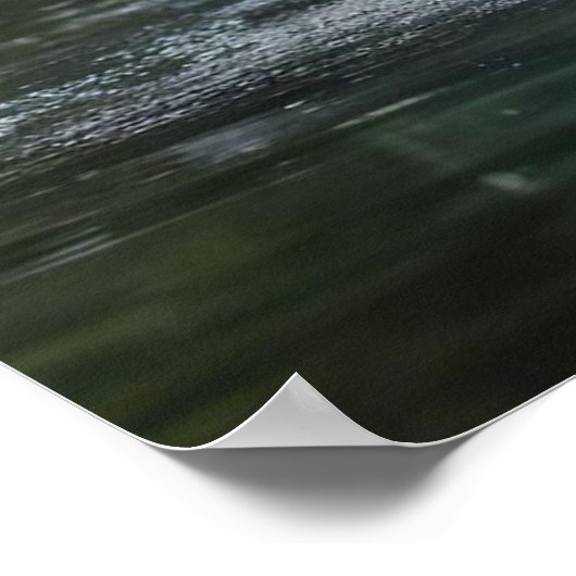 Grace in Flight: Der rosa Flamingos Riverdance Poster (Ecke)