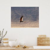 Grace in Flight - Gray Crowned Crane Poster (Küche)