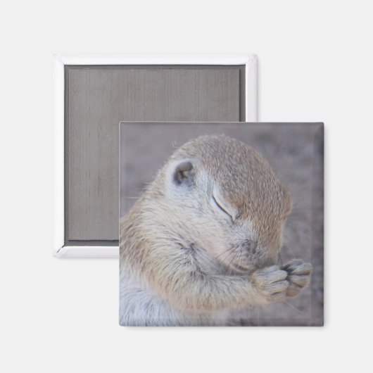 Grace Magnet (Vorderseite/Rückseite)