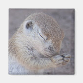 Grace Magnet (Vorne)