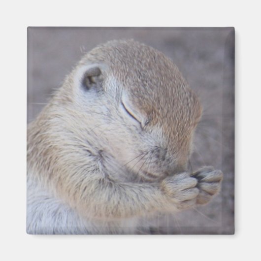 Grace Magnet (Vorne)