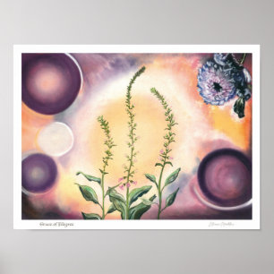 Grace of Filigree - Edler Kunstdruck  Poster