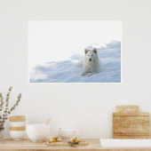 Grace Poster (Küche)