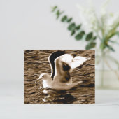 Grace_ Postkarte (Stehend Vorderseite)