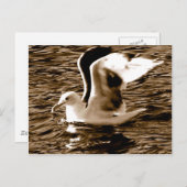 Grace_ Postkarte (Vorne/Hinten)