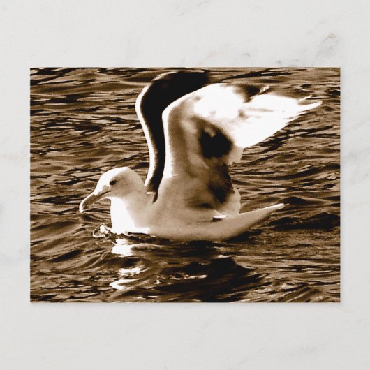 Grace_ Postkarte (Vorderseite)