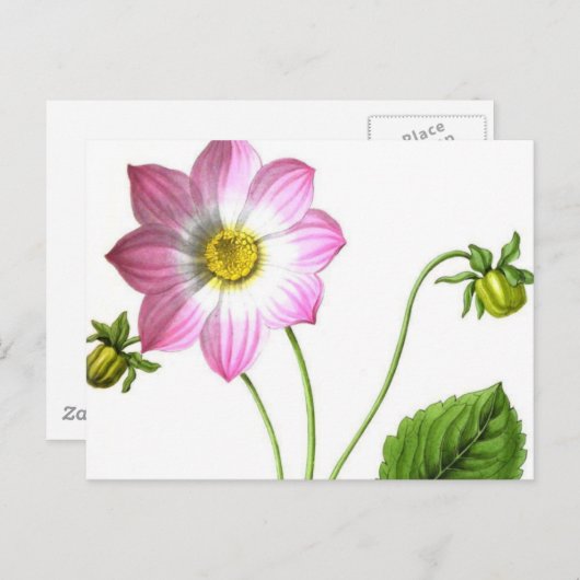 Grace Postkarte (Vorne/Hinten)