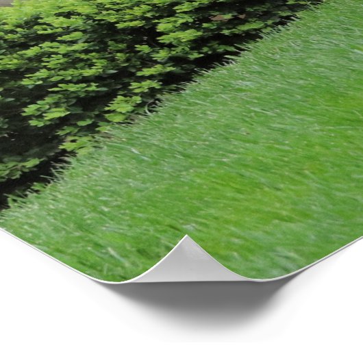 Grace Psalm 103:8 Spring Floral Poster (Ecke)