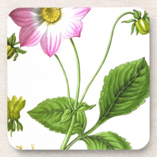 Grace Untersetzer (Vorderseite)