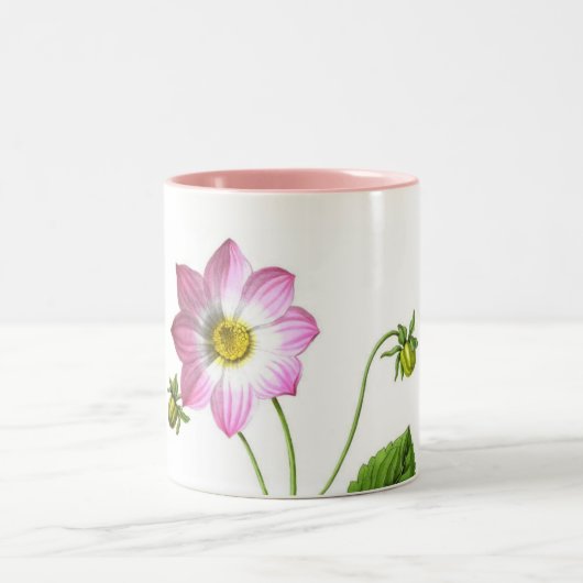 Grace Zweifarbige Tasse (Mittel)