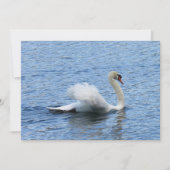 Gracefful Swan Foto Flat Card (Vorderseite)