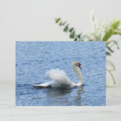 Gracefful Swan Foto Flat Card (Stehend Vorderseite)