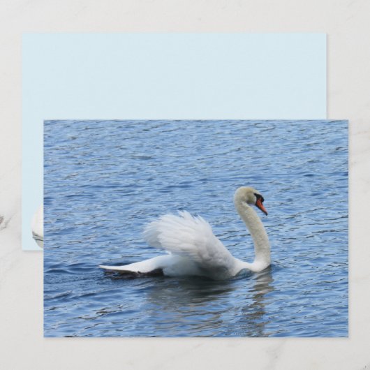 Gracefful Swan Foto Flat Card (Vorne/Hinten)