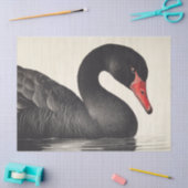 Graceful Black Swan in Ornithology Decoupage Style Seidenpapier (Basteln)