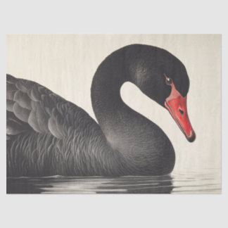 Graceful Black Swan in Ornithology Decoupage Style Seidenpapier