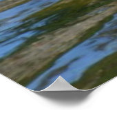 Graceful Egret bird and Enck Poster (Ecke)