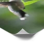 Graceful Flight: Hummingbird explodiert Poster (Ecke)