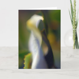 Graceful florale Blankenkarte Dankeskarte